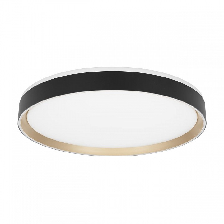 Накладной светильник citilux boss cl751451g