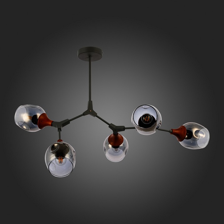 Люстра на штанге evoluce ciotolla sle113402-05