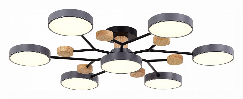 Потолочная люстра evoluce faema sle6006-702-07