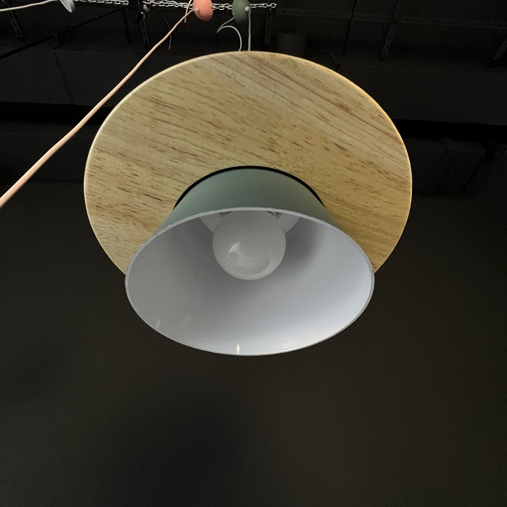 Подвесной светильник imperiumloft eco eco1