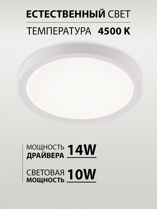 Накладной светильник natali kovaltseva plain led lamps 81113/1c