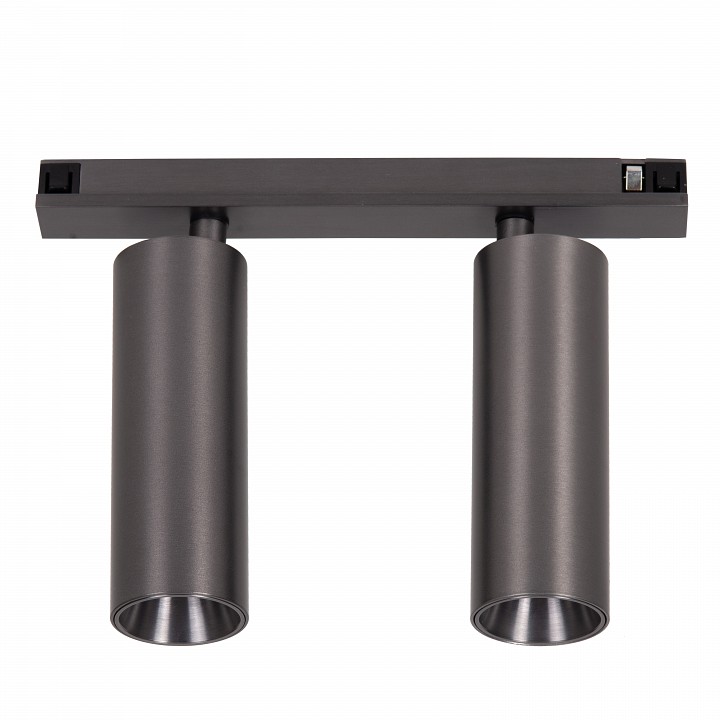 Светильник на штанге lucide linial 55902/20/08