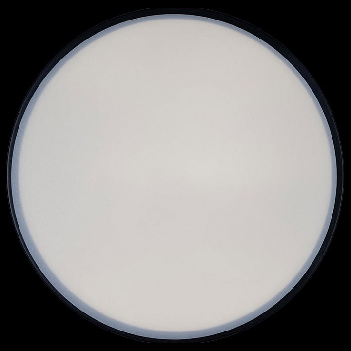 Накладной светильник loft it axel 1 10002/12 black