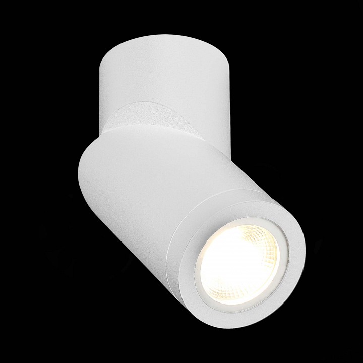 Светильник на штанге st-luce st650 st650.502.01