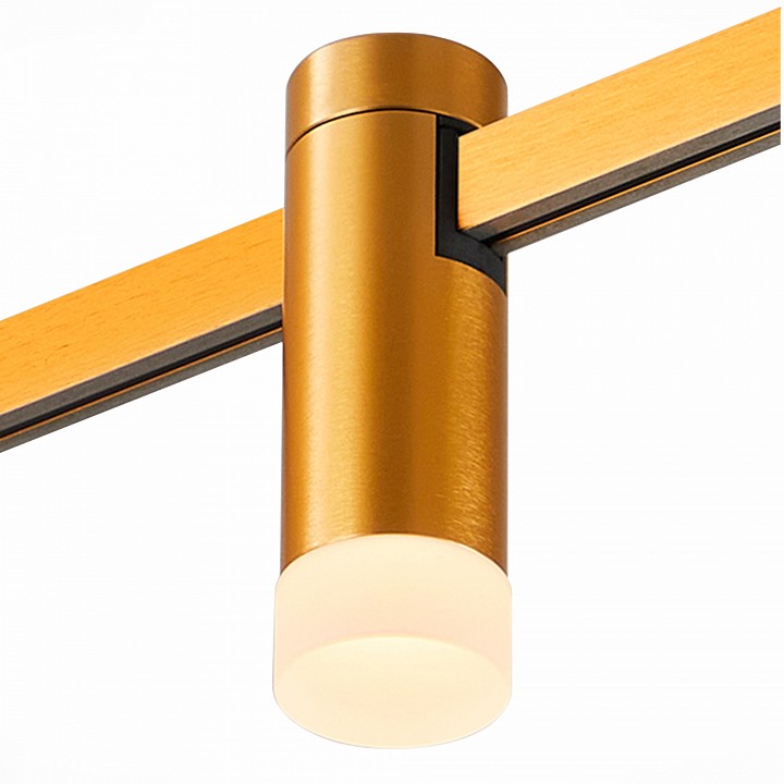 Накладной светильник st-luce farm st812.206.03