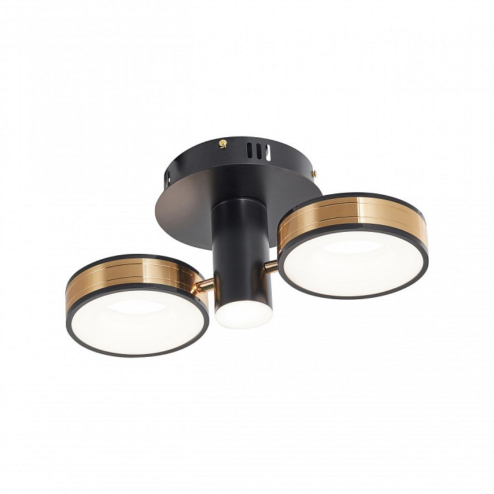 Светильник на штанге arte milano ferrara-71040 271040/2r bk/gd