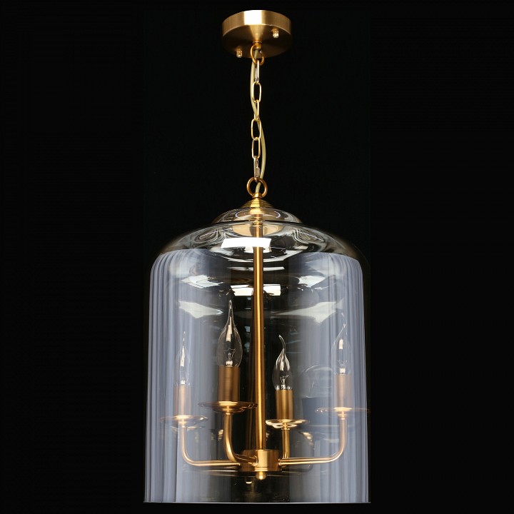 Подвесной светильник aployt polin apl.603.06.06