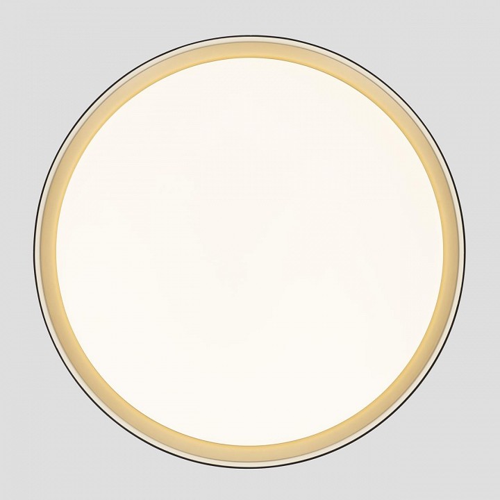 Накладной светильник citilux boss cl751451g
