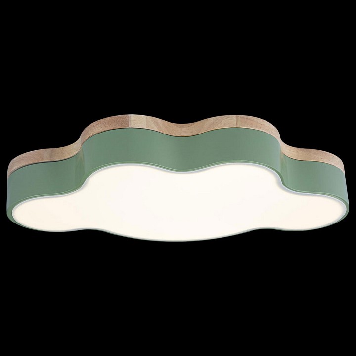 Накладной светильник loft it axel 4 10005/30 green