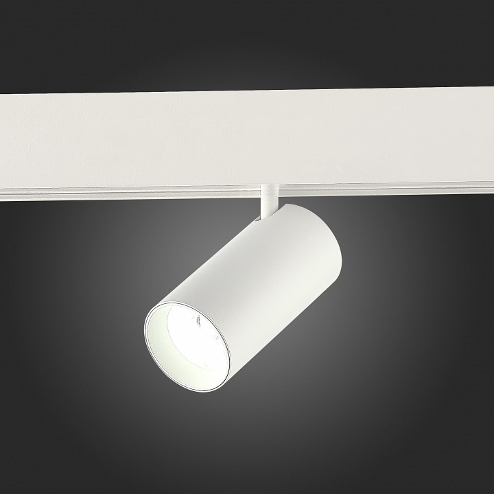 Светильник на штанге st-luce st375 st375.506.20