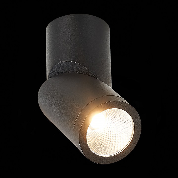 Светильник на штанге st-luce st650 st650.442.10