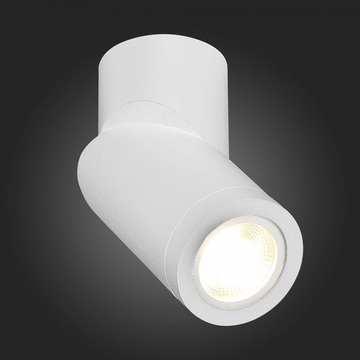 Светильник на штанге st-luce st650 st650.502.01