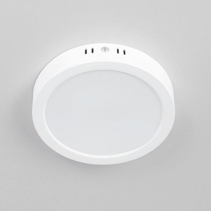 Накладной светильник citilux галс cl5516n