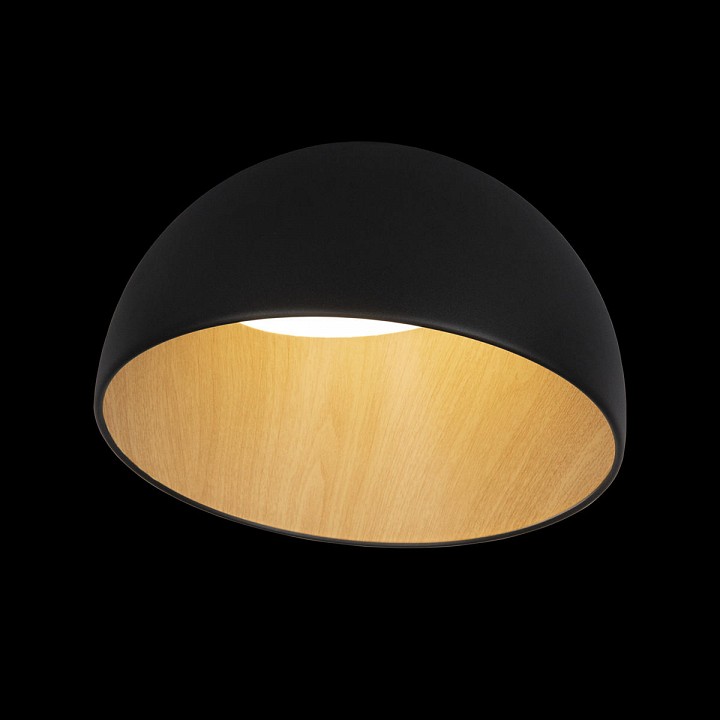 Накладной светильник loft it egg 10197/350 black