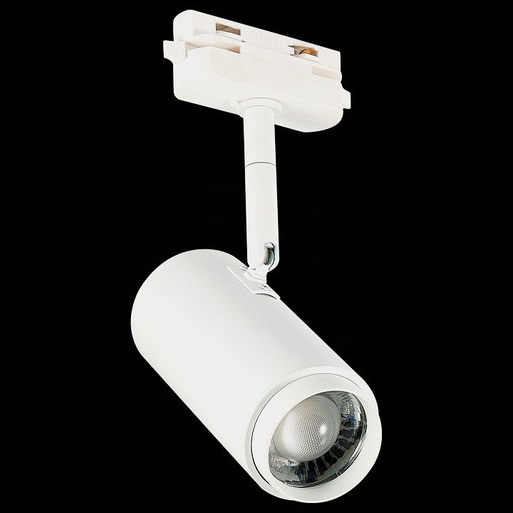 Светильник на штанге st-luce zoom st600.536.12