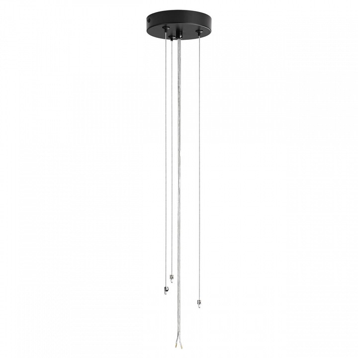 Накладной светильник lumion animaisa 8003/6c