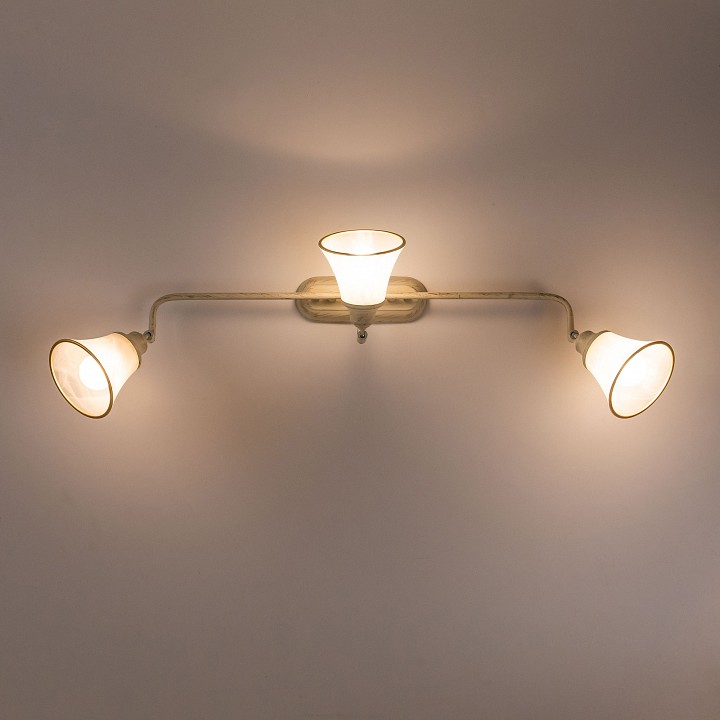 Спот citilux прованс cl511534
