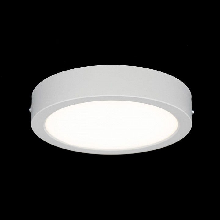 Накладной светильник citilux галс cl5516n