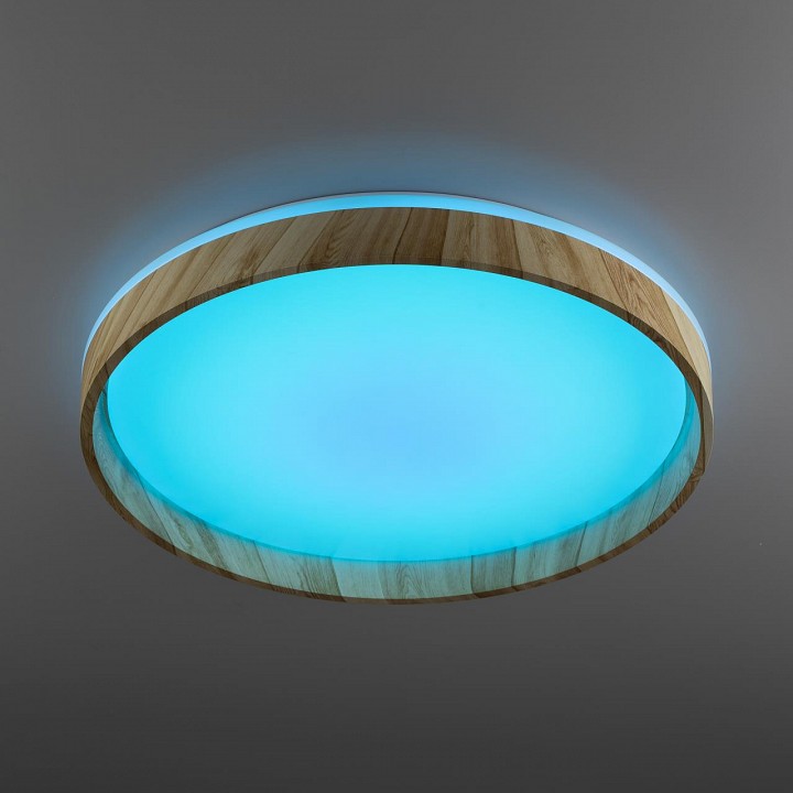 Накладной светильник citilux enzo cl753452g