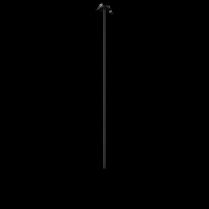 Встраиваемый светильник на штанге loft it cane 10359/1000 black