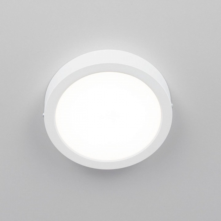 Накладной светильник citilux галс cl5516n