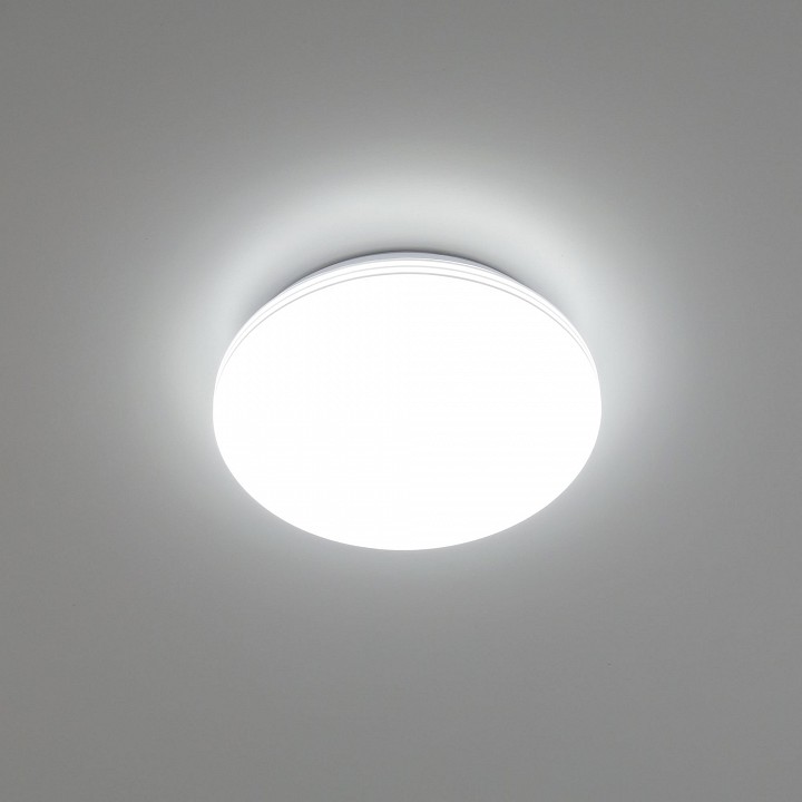Накладной светильник citilux симпла cl714240v