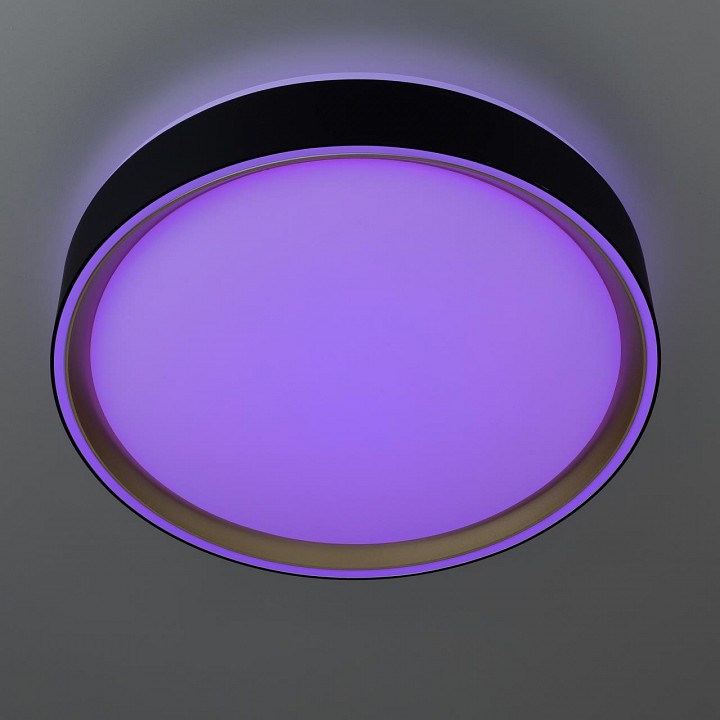 Накладной светильник citilux boss cl751251g