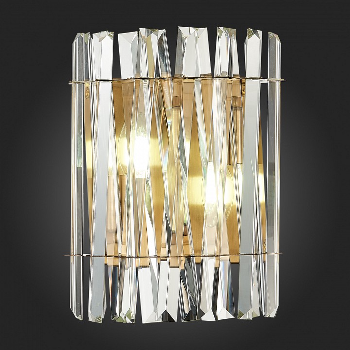 Накладной светильник st-luce fabio sl1170.301.02