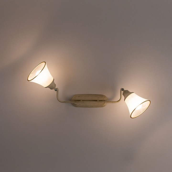 Спот citilux прованс cl511524