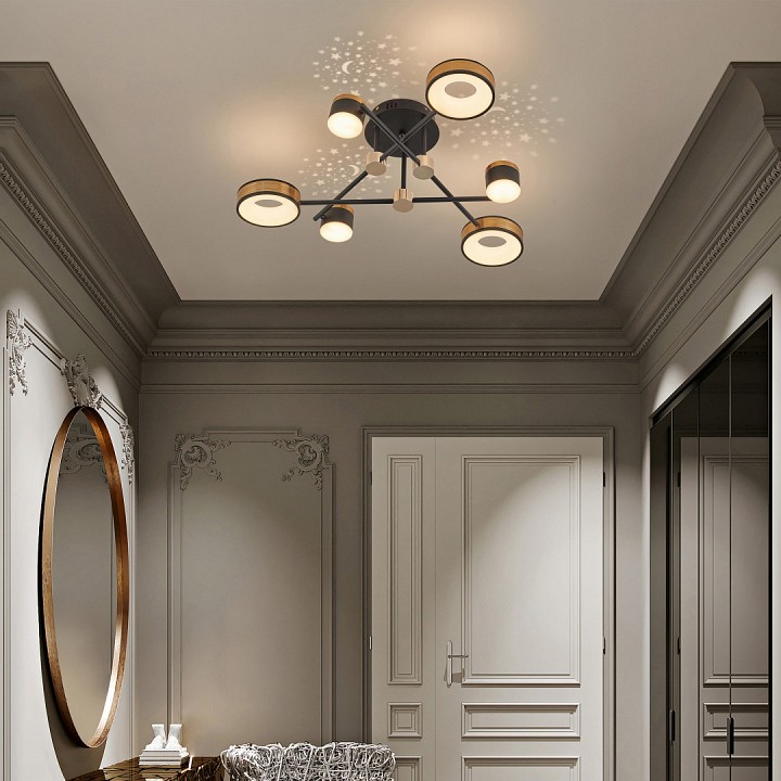 Потолочная люстра arte milano ferrara-71040 271040/6 bk/gd