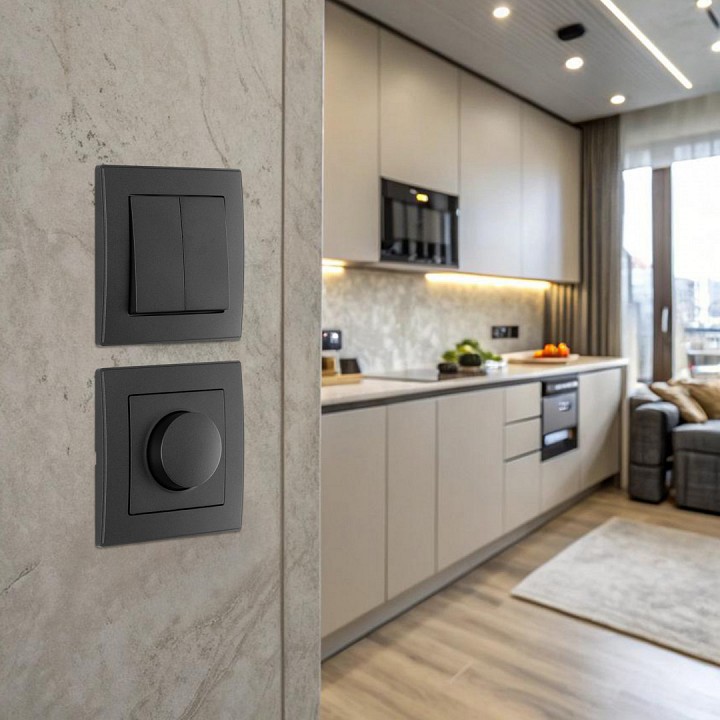 Диммер arte milano set06-1 set06-1-48-1 black